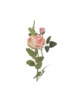 Τεχνητό Φυτό Κίτρινο- Πορτοκαλί 68cm Inart  3-85-505-0129