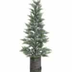 ΔΕΝΤΡΟ ΧΙΟΝΙΣΜΕΝΟ ΞΥΛ/PE ΠΡΑΣΙΝΟ/ΛΕΥΚΟ Φ25Χ75   2-85-702-0014