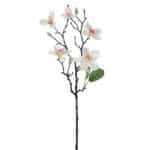 ΜΑΝΩΛΙΑ ΛΕΥΚΟ ΚΛΑΔΙ 64ΕΚ 81454 ILIADIS