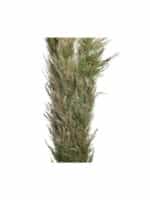 Διακοσμητικό Κλαδί-Φύλλο Αποξηραμένο (Σετ 2Τμχ) 3-85-483-0011 150cm - Image 2