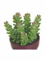 Inart Τεχνητό Φυτό σε Γλάστρα Πολύχρωμο Φ9Χ15 3-85-475-0297 - Image 2