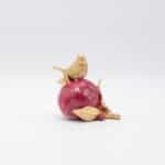 Διακοσμητικέ Ροδι Χελιδονι Πολυρεζιν Μπορντω 11.5x9x11εκ 819-00830