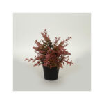 Τεχνητό Φυτό σε Γλαστράκι Λεβάντα Ροζ 25cm Κωδικός: 758-14060