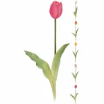 JK Home Décor - Τουλίπα 40cm 5Σχδ 028144 [ Τυχαία Επιλογή Των Χρωμάτων ]