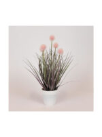 Φυτο Γρασιδι Ροζ Πομπον Γλαστρα Πλαστικο 36εκ Κωδικός: 816-40001