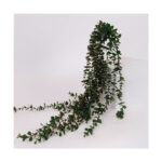 Λουλουδι Κλαδι Κρεμαστος Ευκαλυπτος Πρασινο 100cm Κωδικός: 816-20018