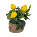 Γλαστράκι Λεμονιά 16εκ Κίτρινο Iliadis 93006