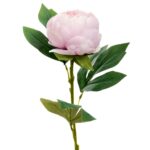 Παιώνια Λιλά 66cm Iliadis Κωδικός: 89812